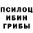 Галлюциногенные грибы Magic Shrooms Oleg Gumenyk