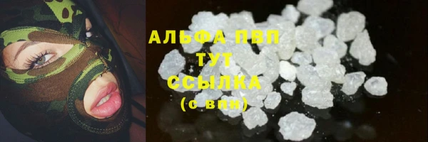 дмт Алексин