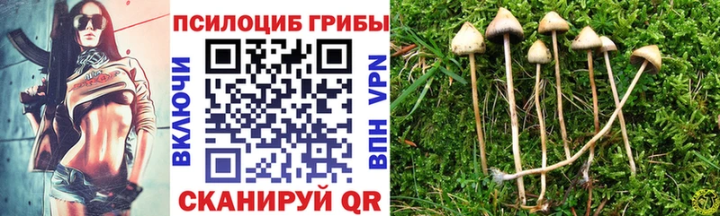 хочу   Белоярский  Галлюциногенные грибы MAGIC MUSHROOMS 